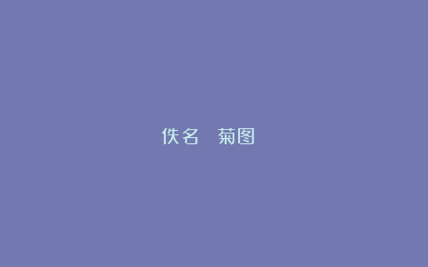 佚名 《菊图 》