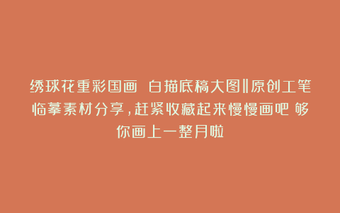 绣球花重彩国画 白描底稿大图‖原创工笔临摹素材分享，赶紧收藏起来慢慢画吧！够你画上一整月啦！