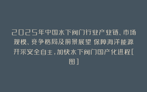 2025年中国水下阀门行业产业链、市场规模、竞争格局及前景展望：保障海洋能源开采安全自主，加快水下阀门国产化进程[图]
