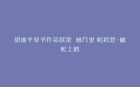 胡维平草书作品欣赏 杨万里《昭君怨·赋松上鸥》