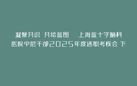 凝聚共识 共绘蓝图 | 上海蓝十字脑科医院中层干部2025年度述职考核会（下）