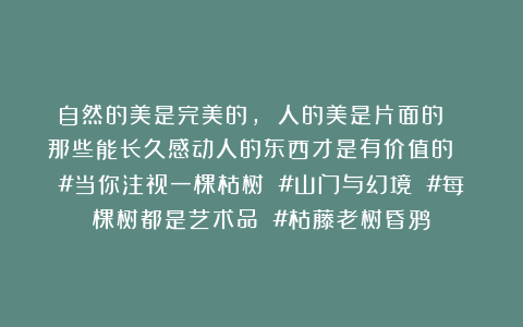 自然的美是完美的， 人的美是片面的！ 那些能长久感动人的东西才是有价值的！ #当你注视一棵枯树 #山门与幻境 #每棵树都是艺术品 #枯藤老树昏鸦