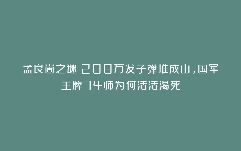 孟良崮之谜:208万发子弹堆成山,国军王牌74师为何活活渴死