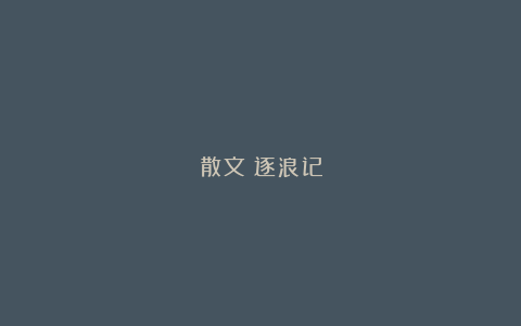 散文:逐浪记