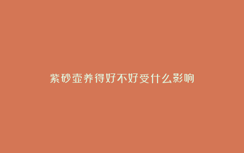 紫砂壶养得好不好受什么影响？