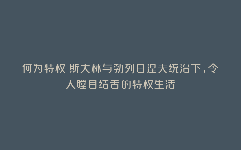 何为特权？斯大林与勃列日涅夫统治下，令人瞠目结舌的特权生活！