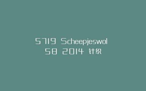 5719 Scheepjeswol №58 2014 针织