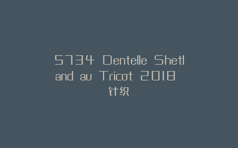 5734 Dentelle Shetland au Tricot 2018 针织