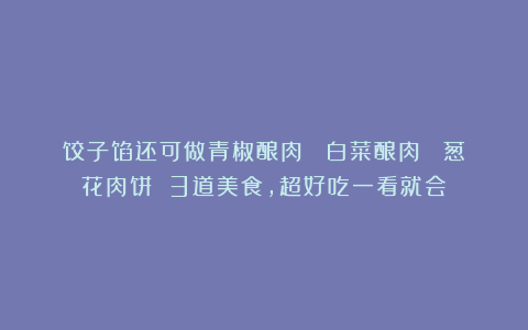 饺子馅还可做青椒酿肉 :白菜酿肉: 葱花肉饼 3道美食,超好吃一看就会