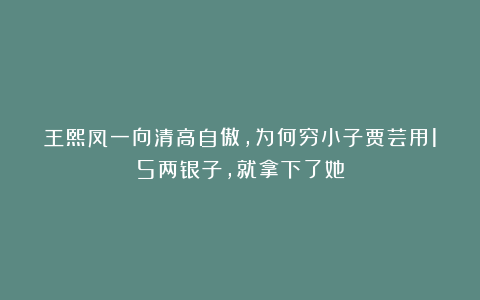 王熙凤一向清高自傲,为何穷小子贾芸用15两银子,就拿下了她