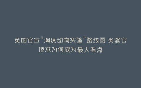 英国官宣“淘汰动物实验”路线图：类器官技术为何成为最大看点？