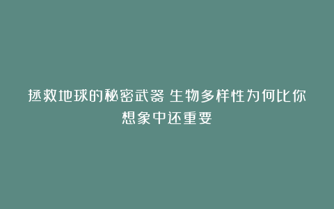 拯救地球的秘密武器:生物多样性为何比你想象中还重要?