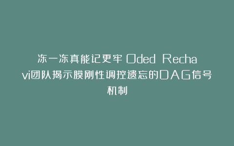 冻一冻真能记更牢?Oded Rechavi团队揭示膜刚性调控遗忘的DAG信号机制