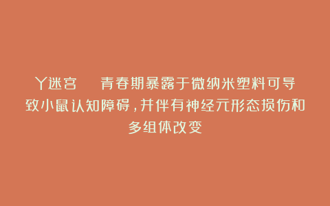 Y迷宫 | 青春期暴露于微纳米塑料可导致小鼠认知障碍，并伴有神经元形态损伤和多组体改变