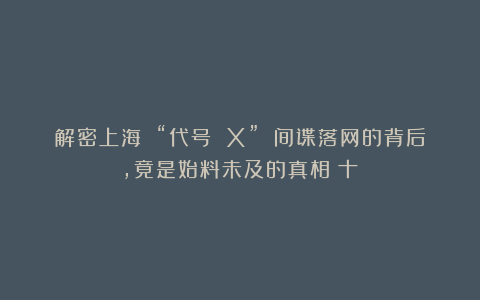 解密上海 “代号 X” 间谍落网的背后,竟是始料未及的真相(十)
