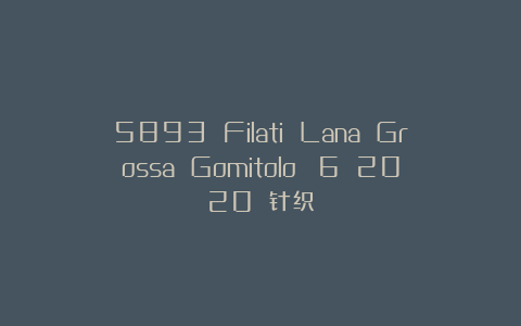 5893 Filati Lana Grossa Gomitolo №6 2020 针织