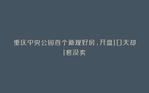 重庆中央公园首个新规好房，开盘10天却1套没卖？
