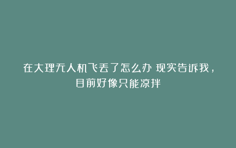 在大理无人机飞丢了怎么办？现实告诉我，目前好像只能凉拌