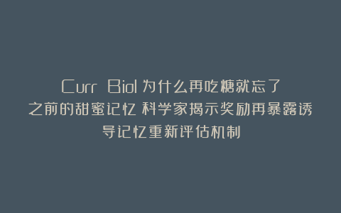Curr Biol：为什么再吃糖就忘了之前的甜蜜记忆？科学家揭示奖励再暴露诱导记忆重新评估机制