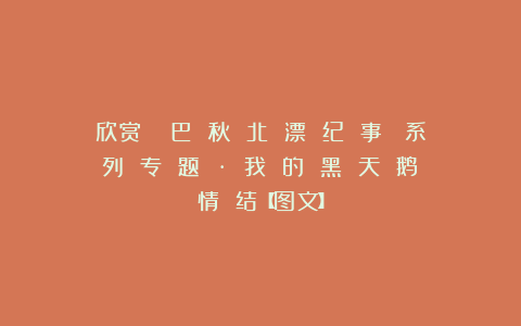 欣赏︱《 巴 秋 北 漂 纪 事 》系 列 专 题 · 我 的 黑 天 鹅 情 结【图文】