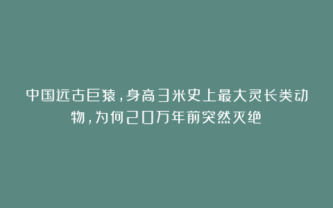 中国远古巨猿，身高3米史上最大灵长类动物，为何20万年前突然灭绝？