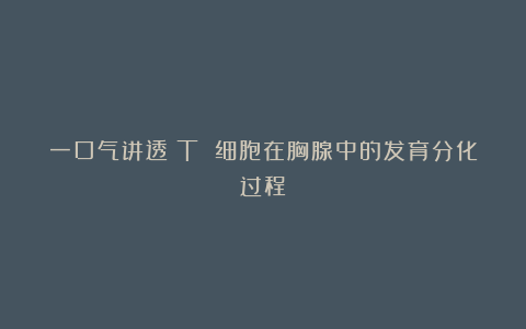 一口气讲透：T 细胞在胸腺中的发育分化过程