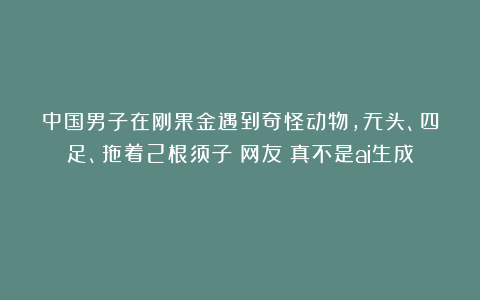 中国男子在刚果金遇到奇怪动物，无头、四足、拖着2根须子？网友：真不是ai生成？