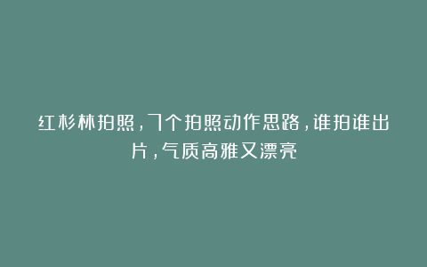 红杉林拍照，7个拍照动作思路，谁拍谁出片，气质高雅又漂亮