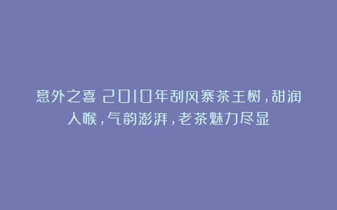 意外之喜!2010年刮风寨茶王树,甜润入喉,气韵澎湃,老茶魅力尽显