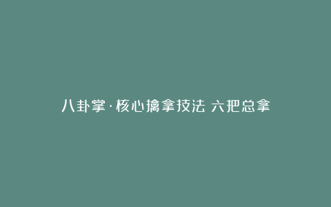 八卦掌·核心擒拿技法：六把总拿