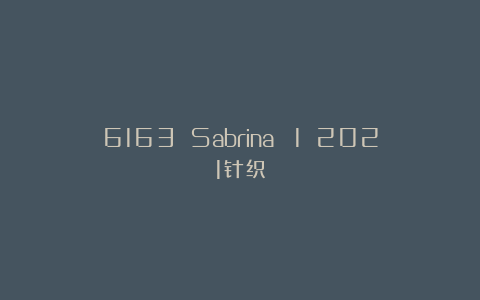 6163 Sabrina №1 2021针织