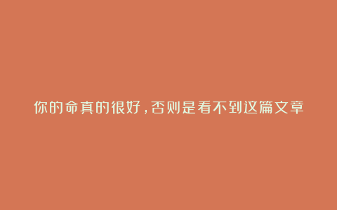 你的命真的很好，否则是看不到这篇文章