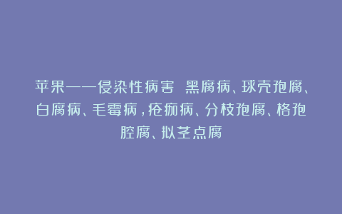 苹果——侵染性病害 黑腐病、球壳孢腐、白腐病、毛霉病，疮痂病、分枝孢腐、格孢腔腐、拟茎点腐