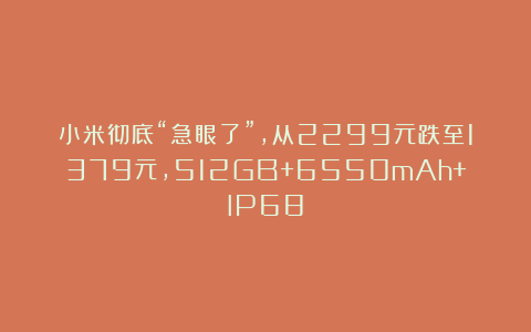 小米彻底“急眼了”,从2299元跌至1379元,512GB+6550mAh+IP68