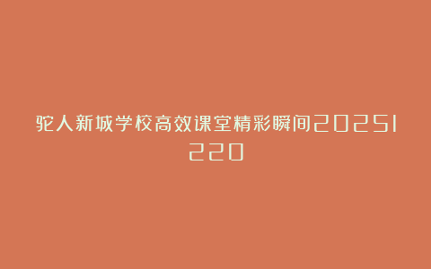 驼人新城学校高效课堂精彩瞬间20251220