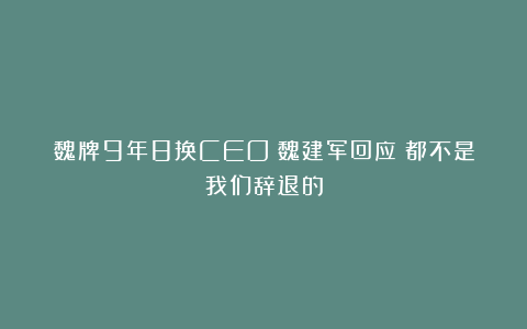 魏牌9年8换CEO？魏建军回应：都不是我们辞退的