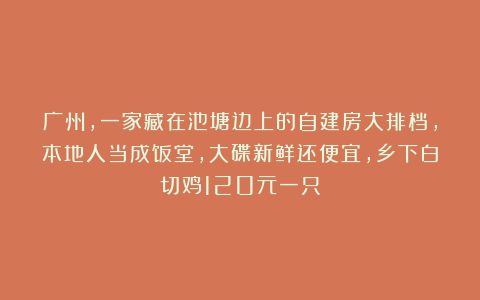 广州,一家藏在池塘边上的自建房大排档,本地人当成饭堂,大碟新鲜还便宜,乡下白切鸡120元一只