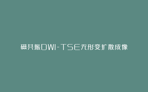 磁共振DWI-TSE无形变扩散成像