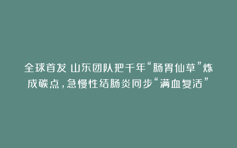全球首发!山东团队把千年“肠胃仙草”炼成碳点,急慢性结肠炎同步“满血复活”!