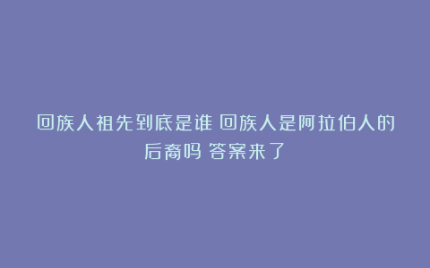 回族人祖先到底是谁？回族人是阿拉伯人的后裔吗？答案来了！