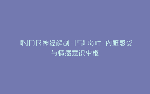 【NDR神经解剖-15】岛叶-内脏感受与情感意识中枢