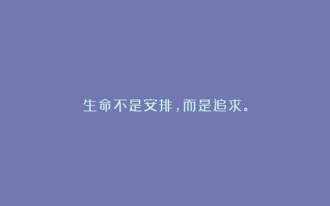 生命不是安排，而是追求。