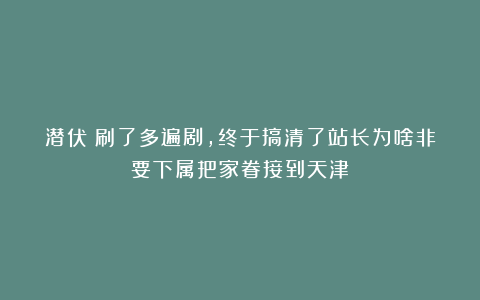 潜伏：刷了多遍剧，终于搞清了站长为啥非要下属把家眷接到天津？
