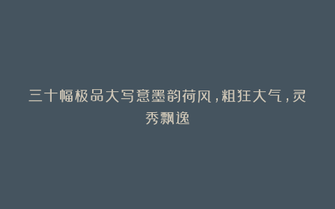 三十幅极品大写意墨韵荷风，粗狂大气，灵秀飘逸！