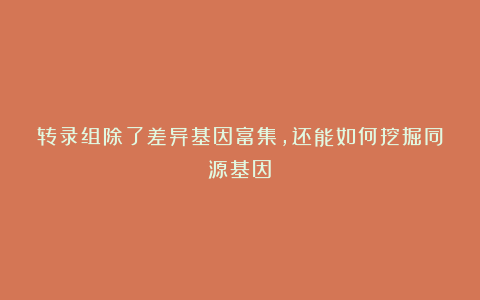 转录组除了差异基因富集，还能如何挖掘同源基因？