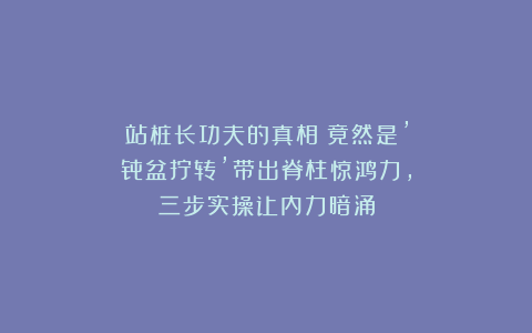 站桩长功夫的真相！竟然是’骨盆拧转’带出脊柱惊鸿力，三步实操让内力暗涌