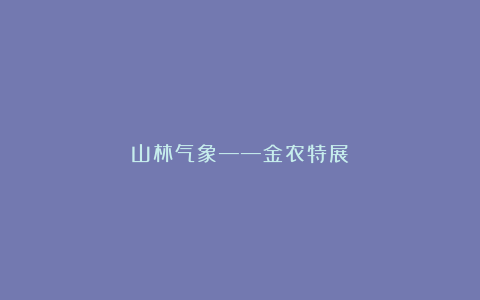山林气象——金农特展