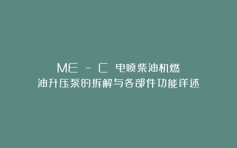 ME – C 电喷柴油机燃油升压泵的拆解与各部件功能详述