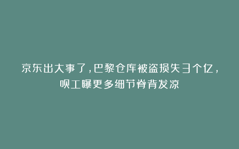 京东出大事了，巴黎仓库被盗损失3个亿，员工曝更多细节脊背发凉