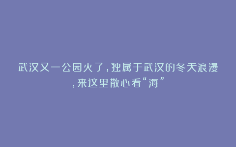 武汉又一公园火了，独属于武汉的冬天浪漫，来这里散心看“海”！